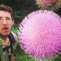 Fotos von Matthew Olson