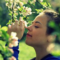 Agnieszka Bujnowska's Photo