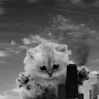 Kevin Ballue's Photo