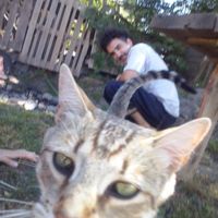 Фотографии пользователя Rodrigo Barro