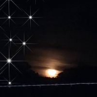 Jeannine Jensen's Photo