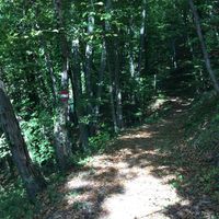 Maria Pucher's Photo