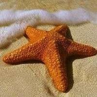 Maria Stella Daprile's Photo