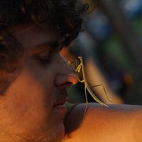 Julius Mittelstraß's Photo