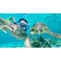 James Goldsmith的照片