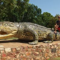 Rene Köllmann的照片