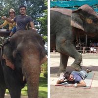 Джавид Тахирли的照片