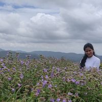 Priyanka P A's Photo