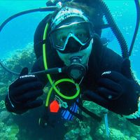 Mahmoud Eltahmody's Photo