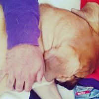 Marcus Husbands's Photo