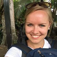 Le foto di Anne Gmerek