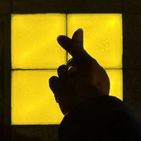 Yasser Chabani的照片