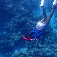 Julia Moncada的照片