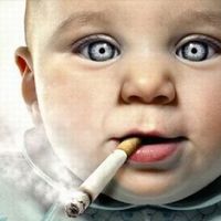 Nick Nastos的照片