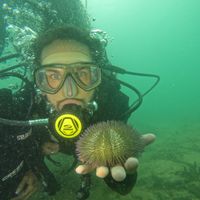 Iñaki Vergara的照片