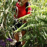 Raissa Silveira的照片