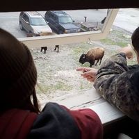 Emily Jenkins's Photo