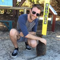 Фотографии пользователя Darren Cook