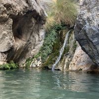 Abdullah alabri's Photo