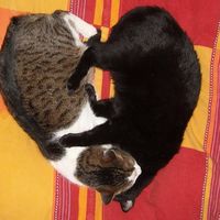 Mojca Mocivnik's Photo