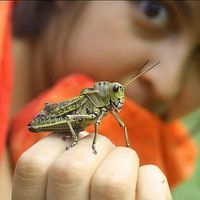 Ana Domínguez's Photo