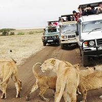 Saiyid Hamisi的照片