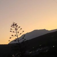 Photos de Muhammad Tuqeer