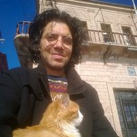 Omid Raafatnia的照片