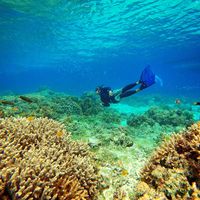 Karl Bryan Raboy's Photo