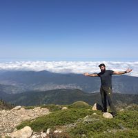 Nima Shahmiri的照片