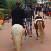 Christian Müller的照片