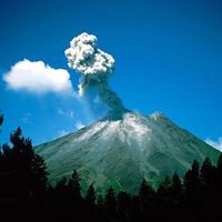 Florentin Camoin的照片