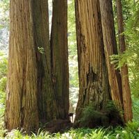 Austin Kline's Photo