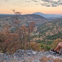 Selina Sweeding的照片