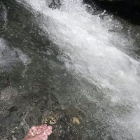 Gabriela Niemirowicz's Photo