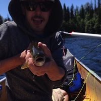 Michael Matichuk的照片