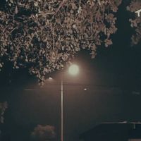 Abhi Kuntal的照片