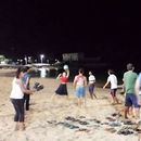 International Beach Party's picture