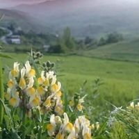 Rokia Chouchane's Photo