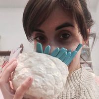 Maria Campllonch的照片