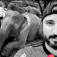 Diego Ortiz的照片