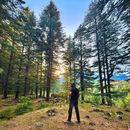 Booking Reading In Meadows's picture