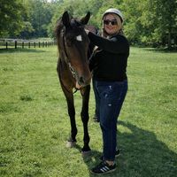 Nesa Dehbashi's Photo