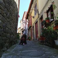 Lucía Herrera's Photo