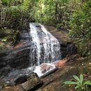 Hiking Mount Elvira In Penang's picture