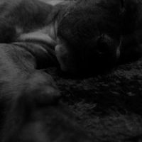 Fotos de Enrique Carrillo Olguin