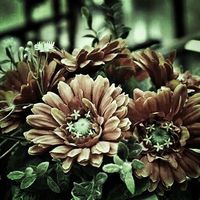 Jacklouise Mon's Photo