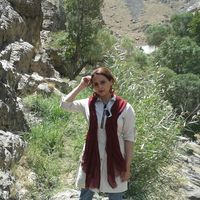 Ziba Saanei的照片