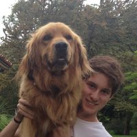 Sebastian Arizti的照片