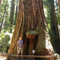 Tony Gutierrez's Photo